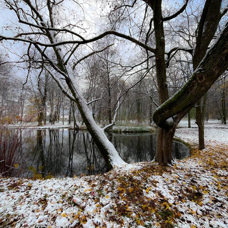 Zima 2023. Pierwszy śnieg w Rzeszowie [Park im. Szafera] - fot 12